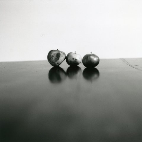 Natura morta di mele a Merano di Sabrina Ragucci. C-Print, 2009